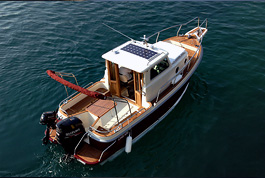 LEIDI 600